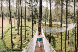 Keindahan Orchid Forest Cikole dengan ribuan anggrek.