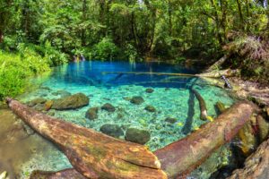 Danau Kaco di Jambi dengan air sebening kaca dan pepohonan rimbun