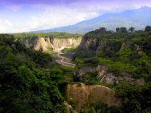 Pemandangan lembah Ngarai Sianok yang hijau dan curam di Bukittinggi