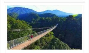 Jembatan Gantung Situ Gunung membentang di atas hutan hijau lebat dengan pegunungan di latar belakang, menunjukkan keindahan alam Sukabumi.