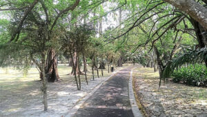 Hewan di Taman Rimba Jambi, kebun binatang mini